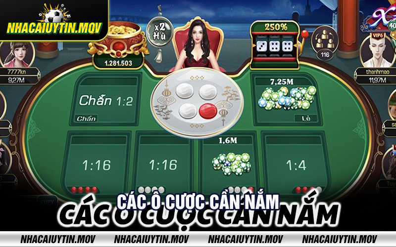 Cac o cuoc can nam Các ô cược cần nắm