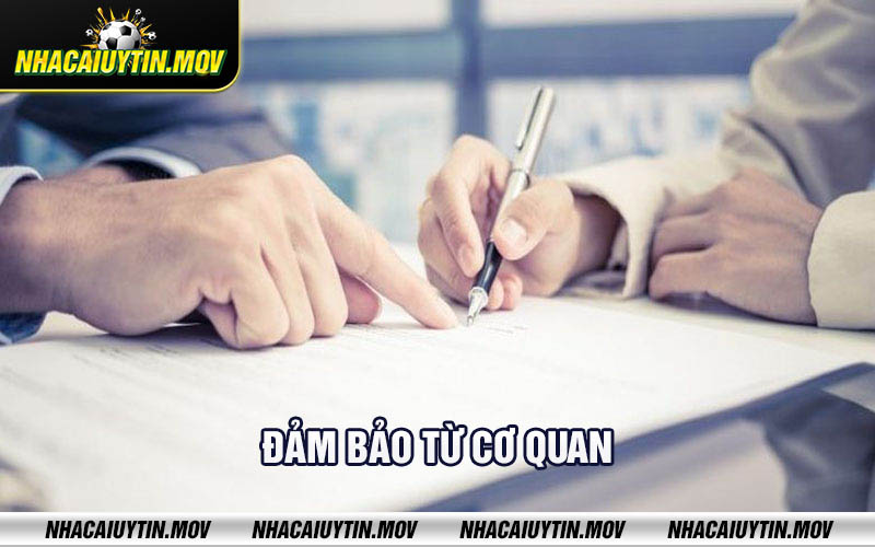 Dam bao tu co quan Đảm bảo từ cơ quan