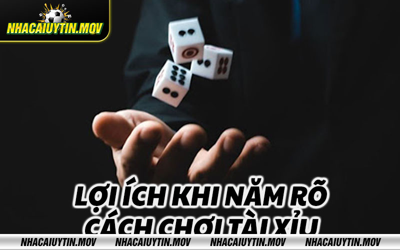 Loi ich khi nam ro cach choi tai Lợi ích khi nắm rõ cách chơi tài xỉu